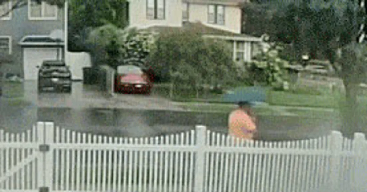 Video shows moment New York man is hit by lightning on Staten Island — and survives