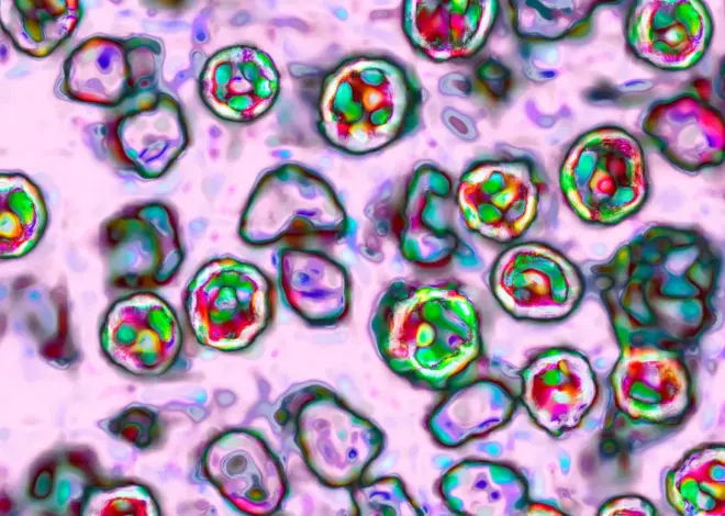 Pennsylvania’s measles outbreak is the country’s largest in three decades