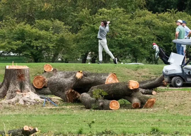 Judge tears into Trump administration for felling trees on D.C. golf course the president wants to remake