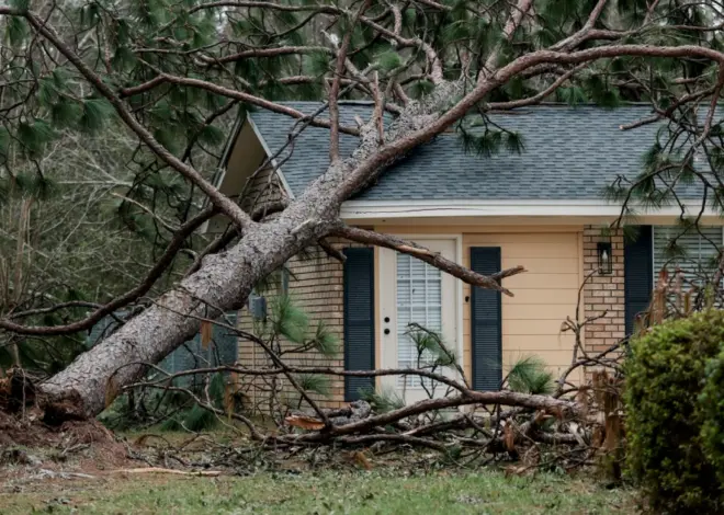Nearly 400,000 in Florida and Alabama still without power as Isaias moves north to Appalachians and Mid-Atlantic